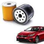 Enhance your car with Kia Forte Oil Filter & Parts 